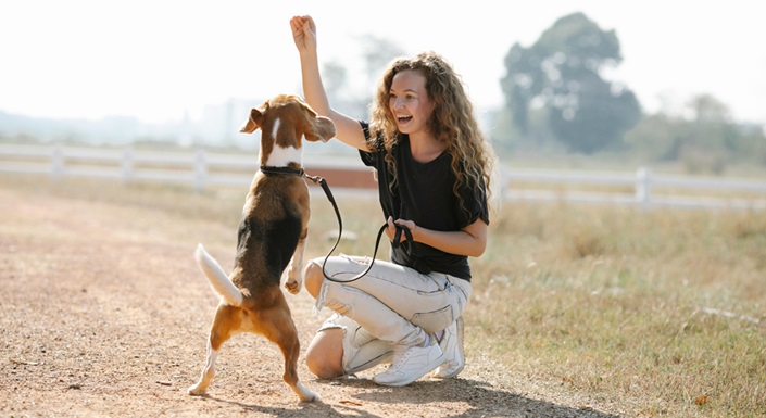 tips to train doggy in india