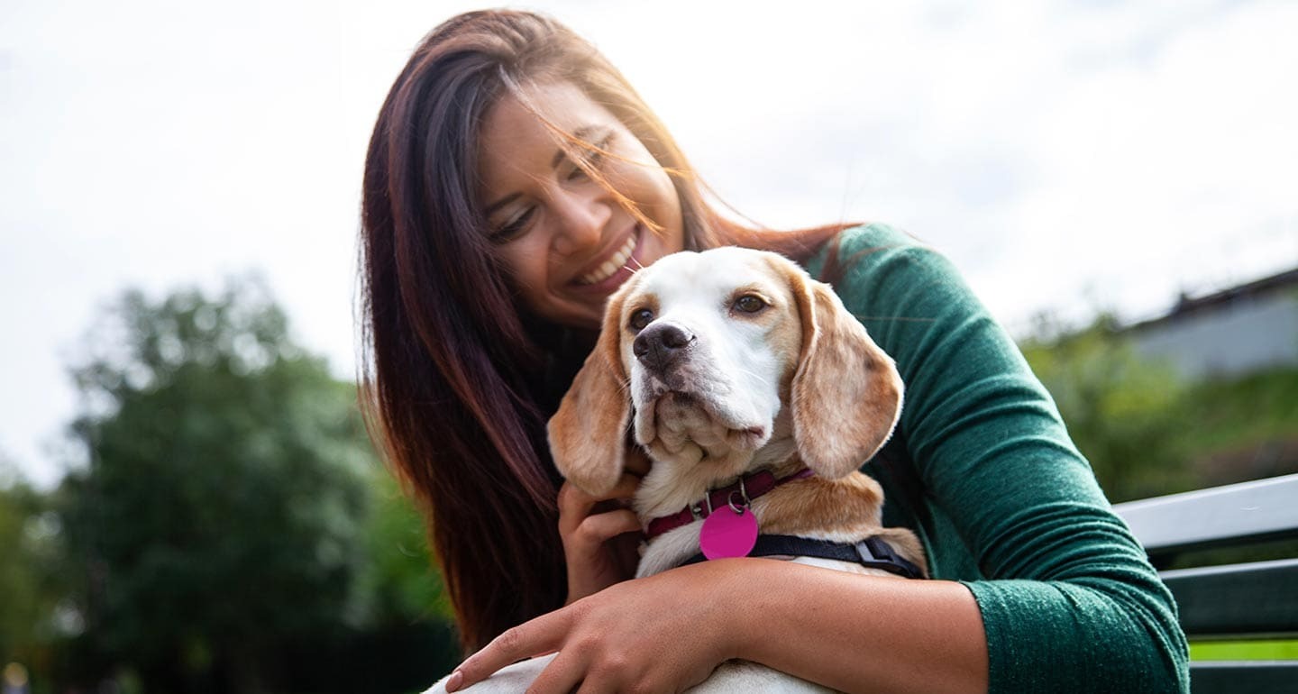 What To Look For When Adopting A New Dog