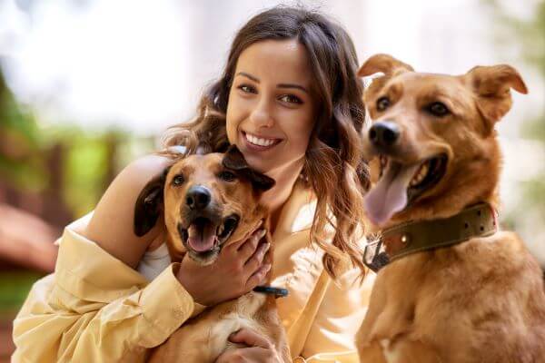  What To Look For When Adopting A New Dog